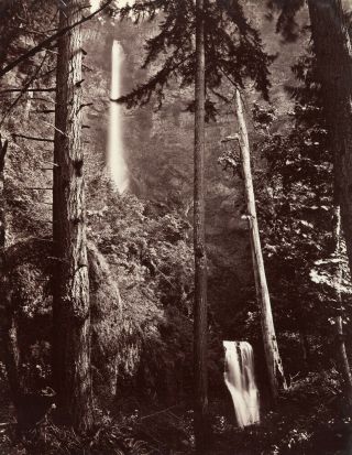 1867 Multnomah Falls,  Oregon Old Photo 8.  5 " X 11 " Reprint