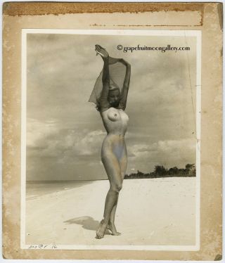 1950s Bunny Yeager 8 " X 10 " Published Mounted Photograph Dottie Sykes Beach Babe
