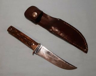 Vintage Case Fixed Blade Hunting Knife Deer,  Stag,  Horn Handle