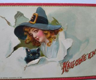 Vintage Halloween Postcard Tucks Embossed Witch And Her Black Cat Series 174