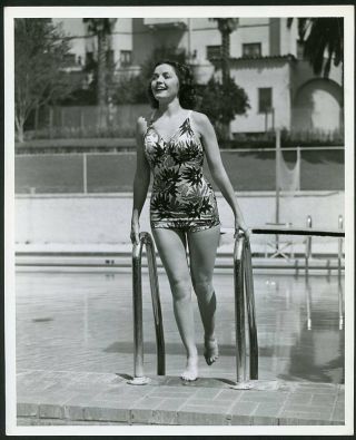 Marjorie Weaver In Swimsuit Vintage 1930s Leggy Cheesecake Pin - Up Photo