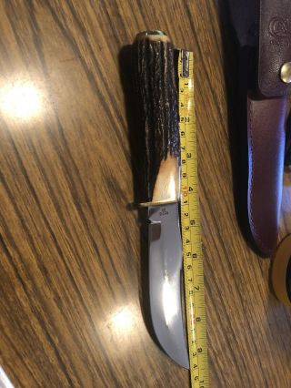 Casexx 523 - 5 Ssp,  Razor Edge Stag Knife,  W/sheath