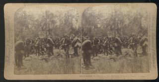 1898 Photo Type Stereoview,  Civil War,  Michigan Volunteers,  Tampa,  Fl.  March