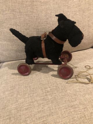 Antique Vintage German Putz Scottie Dog On Wheels Pull Toy