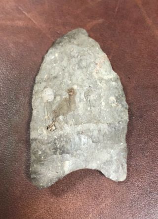 Authentic Native American artifact arrowhead Clovis Point Paleo 2