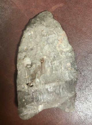 Authentic Native American artifact arrowhead Clovis Point Paleo 3
