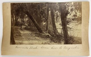 2 Albumen Photographs Of Sanford And Green Cove / Magnolia Florida 1880s
