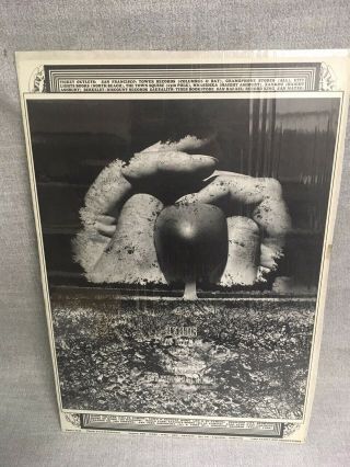 Vintage Psych Poster| " Byrds,  Taj Mahal,  Genesis " Wes Wilson 1968