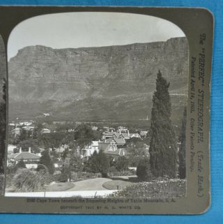 Stereoview Photo South Africa Cape Town Beneath Table Mountain Rsa Hc White