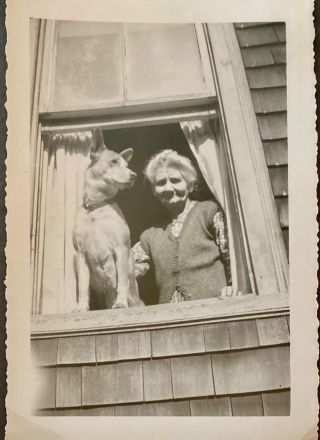 Snapshot Woman And Her Dog Looking Out Of Window (3 1/2” By 5”)
