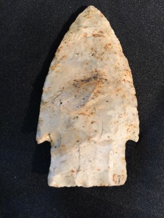 Scottsbluff Arrowhead Point (cody Knife) Native American Indian Artifact