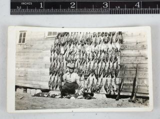 Vintage Photo Proud Hunter With Ducks Grouse Prairie Chicken 1930s Gun