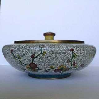Antique Vintage Chinese Cloisonne White Enamel Brass Lidded Bowl Dogwood Flowers