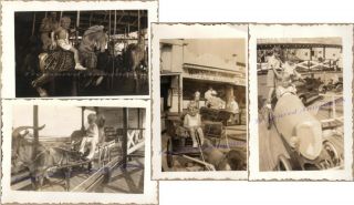 1930s Young Boy At Amusement Park Carousel Horse Car Goat Wagon Rides Photos