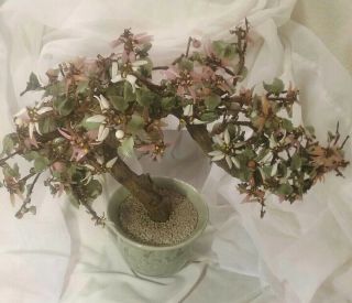 Vintage Chinese Jade Bonsai Glass Flowers Tree In Ceramic Pot