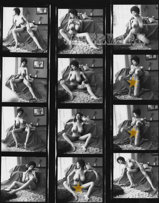 Sylvia Mcfarland Vintage Nude Contact Sheet (10 " X 8 ")