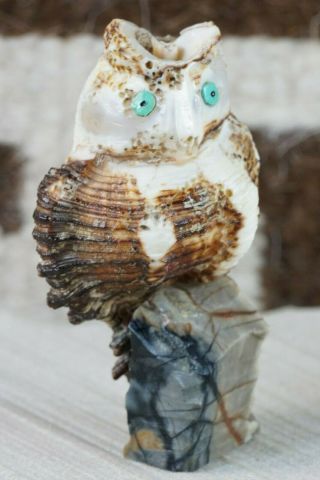 Owl Zuni Fetish Carving - Kevin Quam