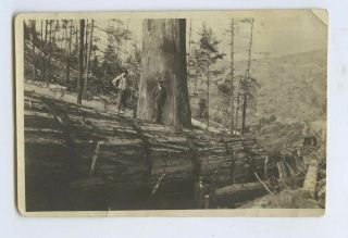 Snapshot From Album 3 Man Posing With Redwood Log One Name John Goud Sp?
