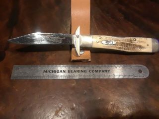 Case Xx,  Bone Stag Cheetah Knife 6.  5111 1/2l,  Swing Guards