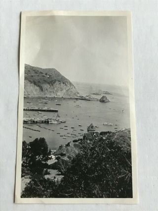 Vintage Photo Early 1900 
