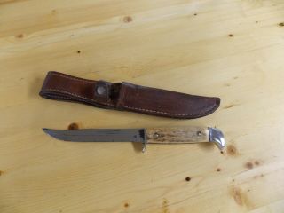 Vintage Case Xx Usa 8 3/4 " Fixed Blade Stag Handle Hunting Knife With Sheath