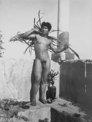 1890 Nude Young Man By Column Wilhelm Von Gloeden,  Old Photo 4” X 6” Reprint