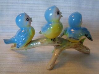 Vintage Norcrest? 3 BLUEBIRDS SITTING ON BRANCH - JAPAN STICKER 2