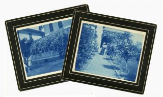 Pasadena Two Cyanotypes Home & Rose Trees Gold Ophir C 1900 Mounted Photographs