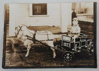1927 Sweetwater,  Texas Photo Of Young Boy In A Goat Cart