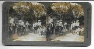 419 - Goat Carriages,  Central Park,  York City Vintage Whiting Co.  Stereoview