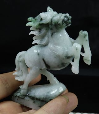 Cert ' d Green 100 Natural A JADE jadeite SMALL Statue Horse 马 992250 3