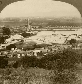 Keystone Stereoview Of Movie Studios,  Universal City,  California Set 3 1910s 13