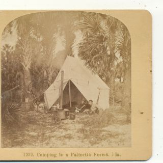 Camping In A Tent Palmetto Forest Florida Fl Littleton Stove Stereoview C1890