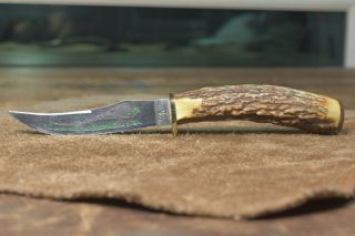 1983 Case Xx Usa 523 - 3 1/4 Ssp Stag Pheasant Hunting Knife