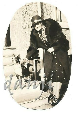 Old Fashion Lady Holds Leash Of Boston Terrier Dog Sitting On A Step Old Photo