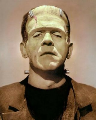 Boris Karloff The Bride Of Frankenstein 1935 4x6 " Hand Color Tinted Photograph