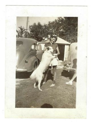 Mid Century Black And White Real Photo,  Young Woman W/ Dog Jacksonville,  Il