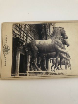 1800s Carlo Ponti Cabinet Card The Four Horses Of Saint Mark’s Venice