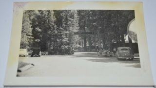 Wow Vintage 1930`s Black & White 4 " X 3 " Photograph Camp Curry Yosemite