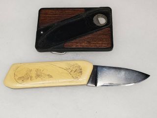 Vintage " Gerber " Scrimshaw Folding Knife With Carrying Case
