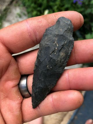 Pa/ny/md/nj 3 " Chert Piney Island Point Indian Artifact Arrowhead
