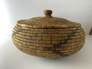 Vintage Native American Indian Handwoven Basket Pine Needle?