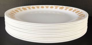 Vintage Corelle Butterfly Gold Lunch Plates 8 1/2” Set Of 12 By Corning 2