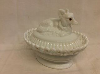 Vintage Westmoreland Milk Glass Fox/dog Covered Candy Dish W/ Lattice Lace