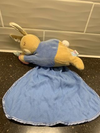 Vtg Eden Peter Rabbit Thermal Waffle Weave Security Blanket Stuffed Plush Tummy