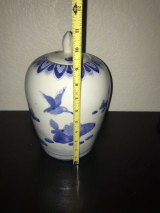 Vintage Asian Hummingbird Ginger Jar Blue White Ceramic