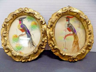 Pair 2 Florentine Feather Art Pictures Birds Toleware Hand Crafted Italy Mexico