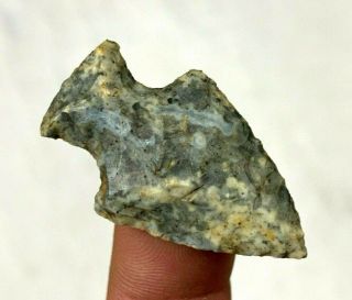 Colorful Fish Spear Point Ohio Authentic Arrowhead Indian Artifact B927