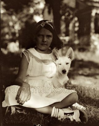 1920s Era Photo Negative Saddle Shoe Girl And Pet Pooch White Puppy Dog In Shade