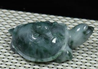 Cert ' d Green 100 Natural A JADE jadeite Small Statue tortoise 飘花 长寿龟 992346 2